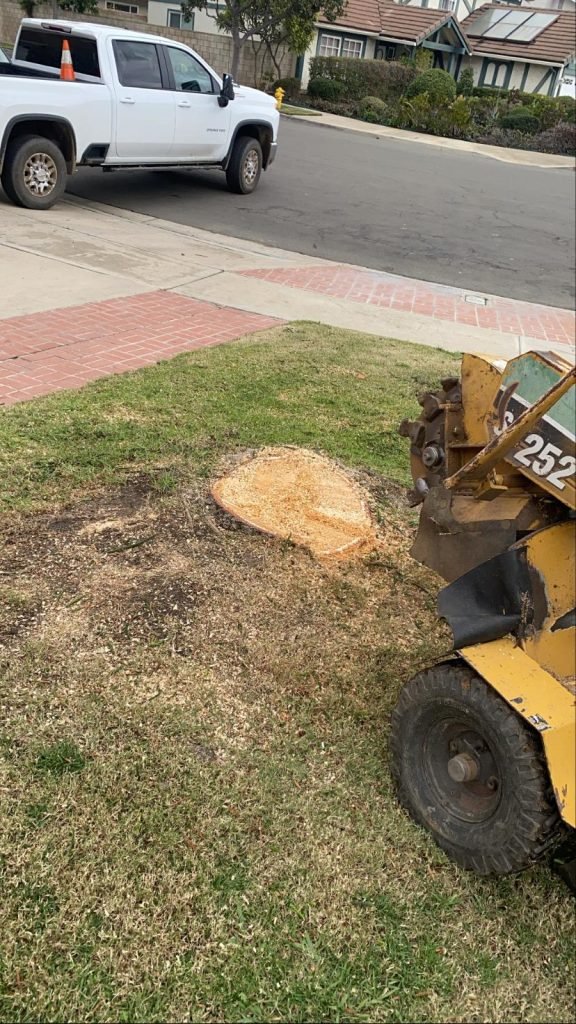 Stump Grinding - Padilla Tree Services
