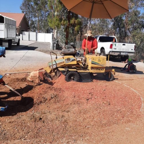 Padilla Tree Service (219)