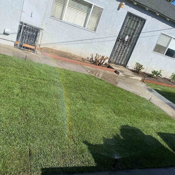 Padilla Tree Service Corp (116)