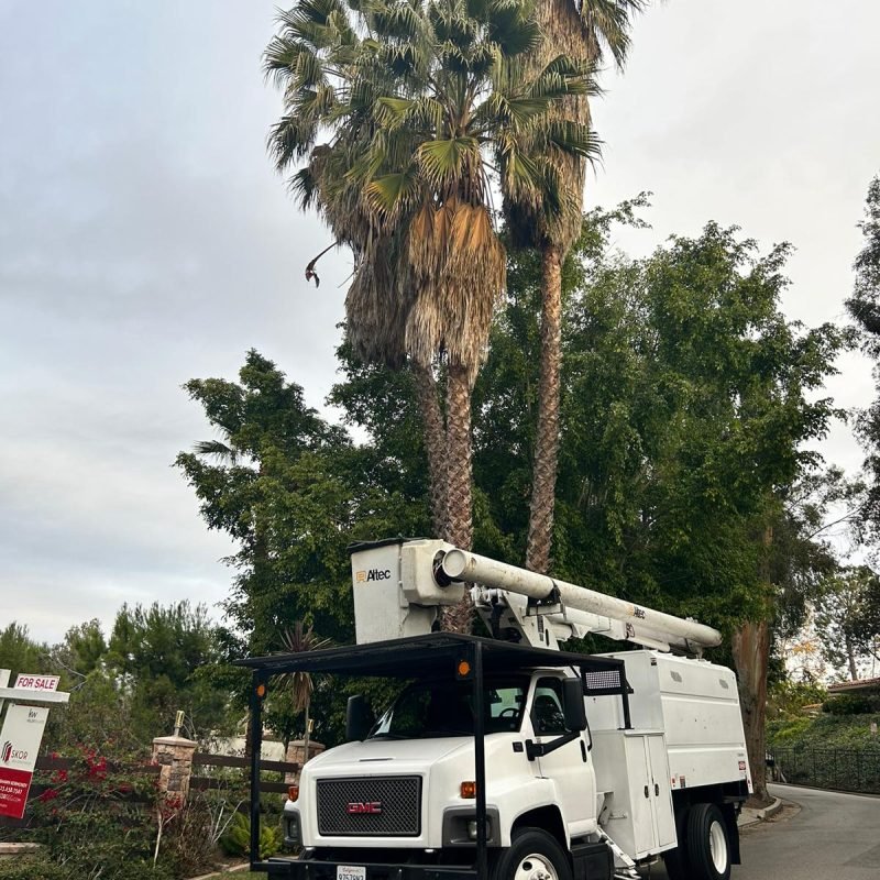 Padilla Tree Service Corp (13)