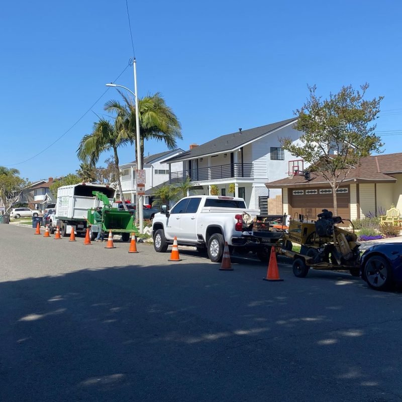 Padilla Tree Service Corp (163)