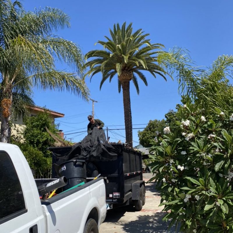 Padilla Tree Service Corp (194)