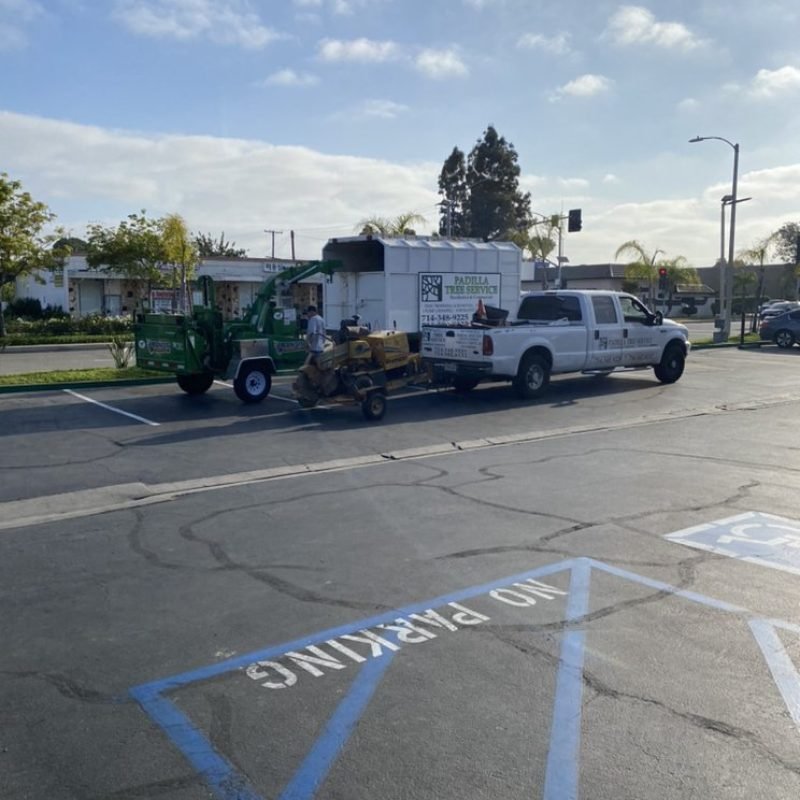 Padilla Tree Service Corp (226)