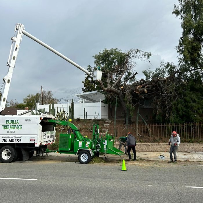 Padilla Tree Service Corp (5)