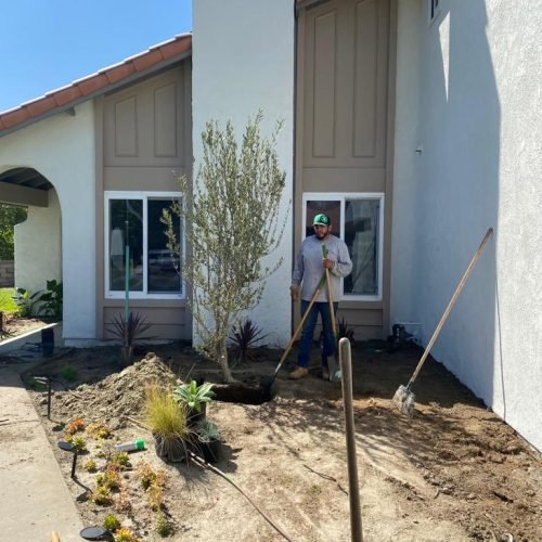 Padilla Tree Service (tree planting)